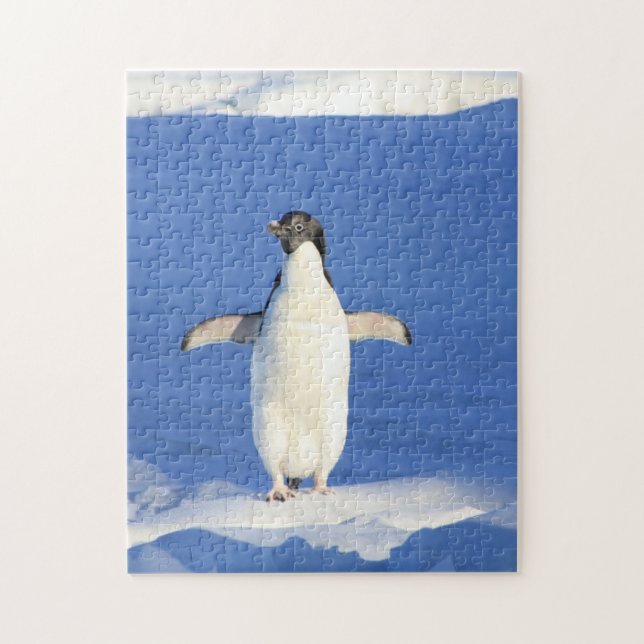Funny penguin on ice jigsaw puzzle (Vertical)