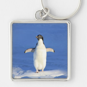 Funny penguin on ice keychain