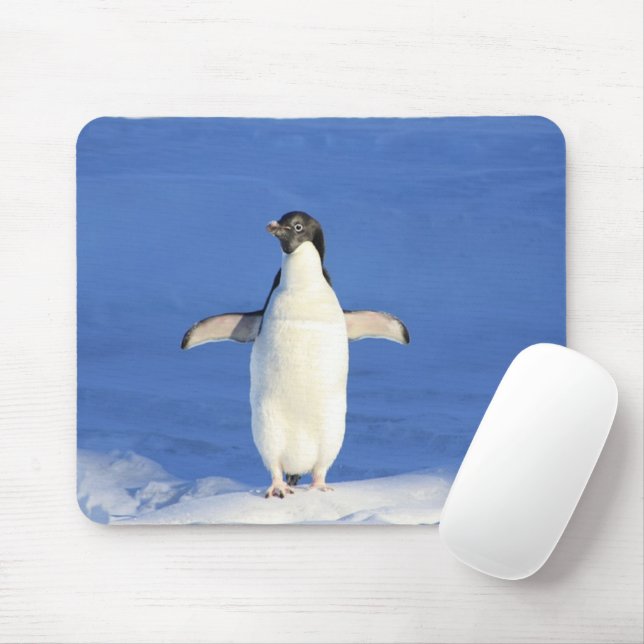 Funny penguin on ice mouse pad (With Mouse)