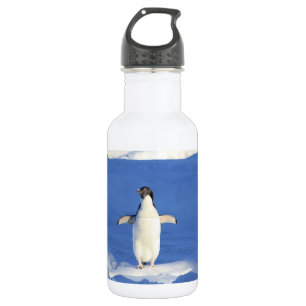 Funny penguin on ice photo 532 ml water bottle