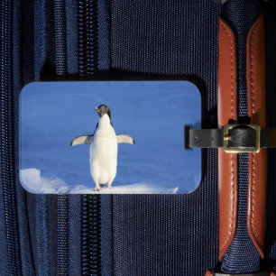 Funny penguin on ice photo luggage tag