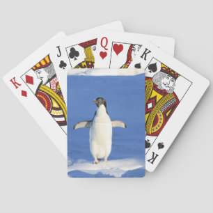 Funny penguin on ice photo playing cards