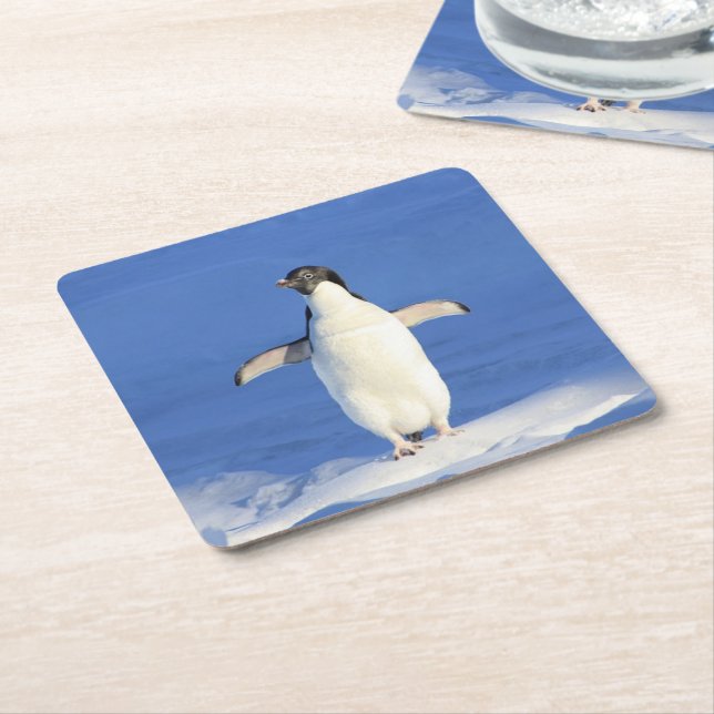 Funny penguin on ice photo square paper coaster (Angled)