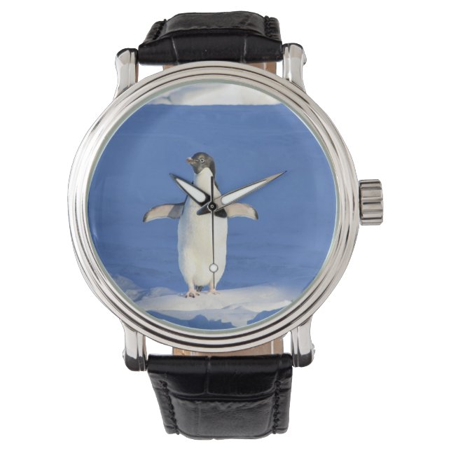 Funny penguin on ice photo watch (Front)