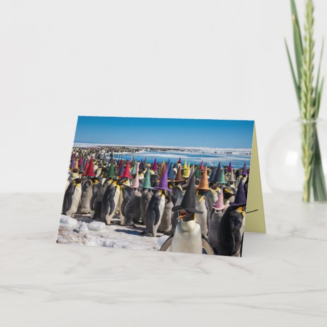 Funny Penguin Witch Halloween Card (Front)