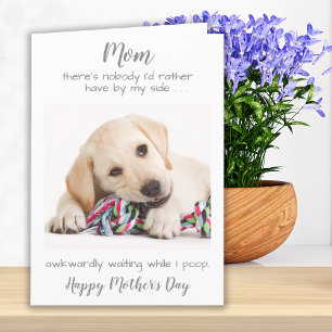 Funny Personalized Dog Mom Pet Photo Mothers Day Holiday Card