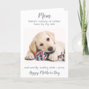 Funny Personalized Dog Mom Pet Photo Mothers Day Holiday Card