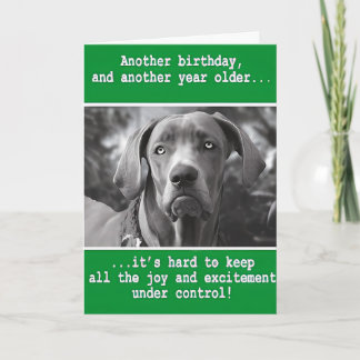 Funny Personalized Dog Photo Birthday    Card
