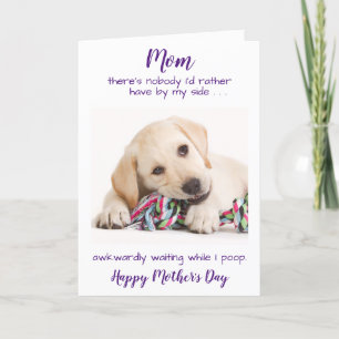 Funny Personalized Pet Photo Dog Mom Mothers Day Holiday Card