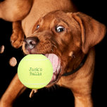 Funny Personalized Tennis Balls<br><div class="desc">Never lose your tennis balls again with these green personalized yellow tennis balls. Great gift idea for him.</div>
