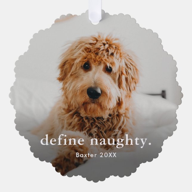 Funny Pet 2 Photo Christmas Holiday Ornament Card (Front)