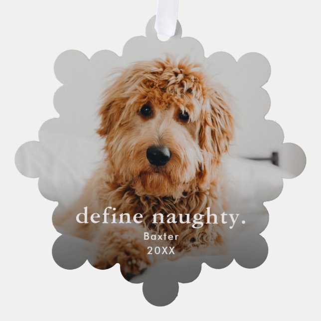 Funny Pet 2 Photo Christmas Holiday Ornament Card (Front)