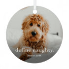 Funny Pet 2 Photo Christmas