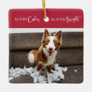 Funny Pet All is Not Calm 3 Photo  Ceramic Ornament