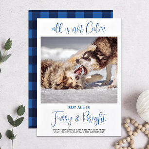 Funny Pet All Is Not Calm Custom Dog Photo  Holiday Card