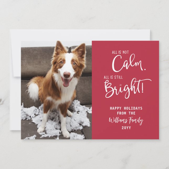 Funny Pet All n'est pas calme 3 Photo Carte de vac (Devant)
