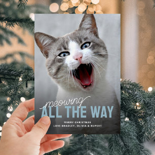 Funny Pet Cat Fêtes Cartes de Noël