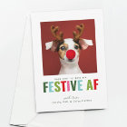 Funny Pet Chien Chat Photo Carte de Noël Festif AF
