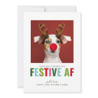 Funny Pet Chien Chat Photo Carte de Noël Festif AF