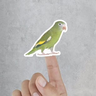 Funny Pet Cut Out Custom Photo