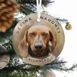 Funny Pet Define Naughty Christmas Photo Glass Glass Ornament<br><div class="desc">Funny Pet Photo Christmas Glass Ornament. Design features,  a picture of your dog or cat,  a overaly,  the text 'DEFINE NAUGHTY' and the pet's name. Makes a wonderful keepsake gift.</div>