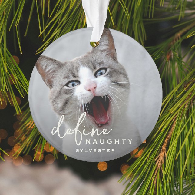 Funny Pet Définir Naughty Christmas (Créateur téléchargé)