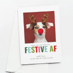 Funny Pet Dog Cat Photo Christmas Card Festive AF<br><div class="desc">A fun and colourful Christmas card showcasing your adorable furry friend (dog,  cat,  spider,  whatever) that is festive AF.  {images by freepik}</div>