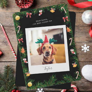 Funny Pet Dog Photo Custom Christmas Holiday Card