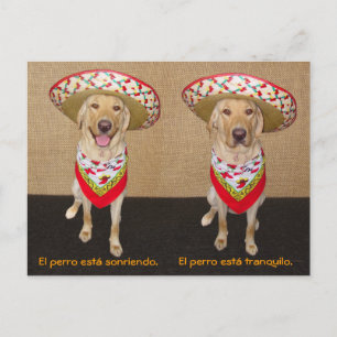 Funny Pet Espagnol Carte postale et aide pédagogiq