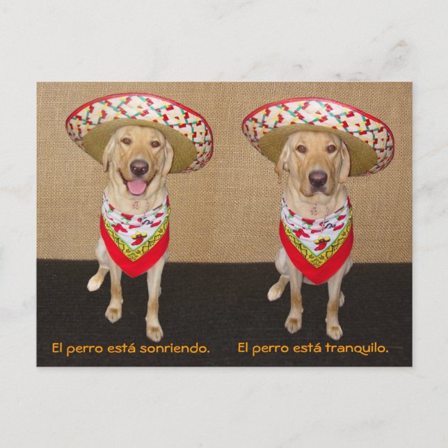 Funny Pet Espagnol Carte postale et aide pédagogiq (Devant)