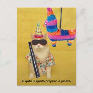 Funny Pet espagnol Cartes postales pour le plaisir