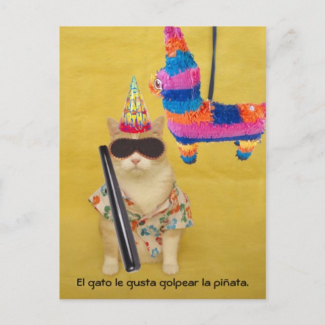 Funny Pet espagnol Cartes postales pour le plaisir (Devant)