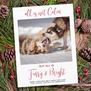 Funny Pet Furry & Bright Custom Dog Photo Holiday Postcard