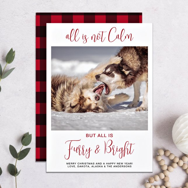 Funny Pet Furry & Bright Plaid Custom Dog Photo  Holiday Card (Creator Uploaded)
