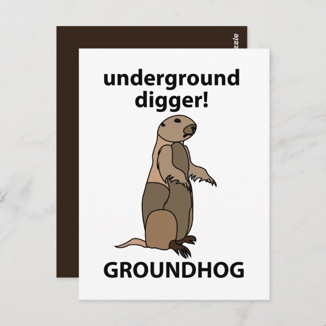 Funny Pet Groundhog Postcard (Front/Back)