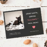 Funny Pet Photo Christmas | Define Naughty Holiday Card<br><div class="desc">Holiday photo card for pet lovers! The text says "Dear Santa, Define "NAUGHTY" From XX (your pet's name)." Replace the picture with your favourite naughty puppy or kitty moment picture from your instagram. The photo frame is in square shape so that your instagram photo will fit perfectly! Guaranteed to be...</div>