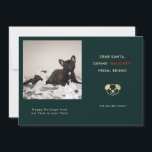 Funny Pet Photo Christmas Holiday Card<br><div class="desc">Holiday photo card for dog lovers! The text says "Dear Santa, Define "NAUGHTY" From XX (your dog's name)." Replace the picture with your favourite naughty puppy moment picture from your instagram account. The photo frame is in square shape so that your instagram photo will fit perfectly! Guaranteed to be a...</div>