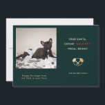 Funny Pet Photo Christmas Holiday Card<br><div class="desc">Holiday photo card for dog lovers! The text says "Dear Santa, Define "NAUGHTY" From XX (your dog's name)." Replace the picture with your favourite naughty puppy moment picture from your instagram account. The photo frame is in square shape so that your instagram photo will fit perfectly! Guaranteed to be a...</div>
