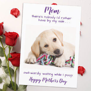 Funny Pet Photo Personalized Dog Mom Mothers Day Holiday Card