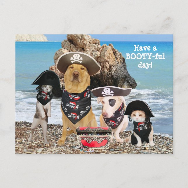 Funny Pet Pirate Day Postcard (Front)