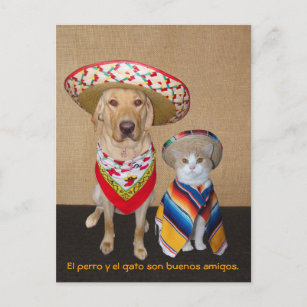 Funny Pet Spanish Postcard & Teaching Aid