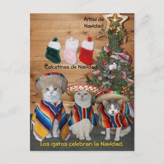 Funny Pet Spanish Postcards for Fun or Teaching (Front)