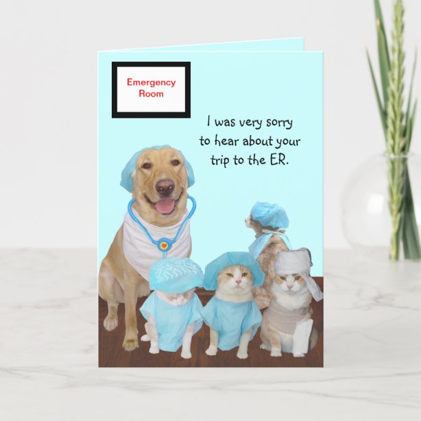 Funny cat get well cards well wishes cards zazzle ca