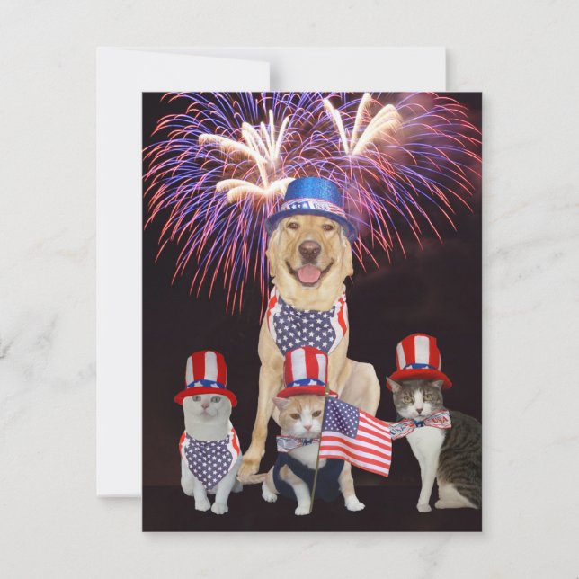 Funny Pets July 4th Invitation (Front)