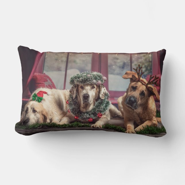 Funny Photo Dogs in Christmas Antlers and Headwear Lumbar Pillow (Front)