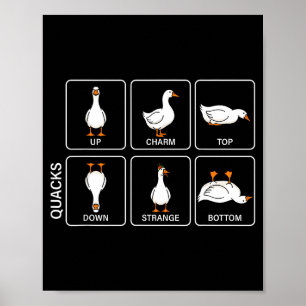 Funny physics pun duck quacks meme cute goose poster
