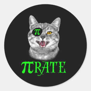 Funny Pi Day Math Science Cat Pirate Colour Classic Round Sticker