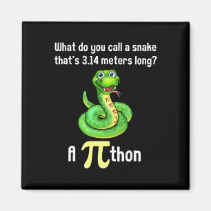 Funny Pi Day Puns Pithon Math Teacher Jokes Women Magnet
