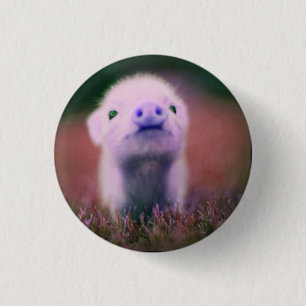 funny pig 1 inch round button