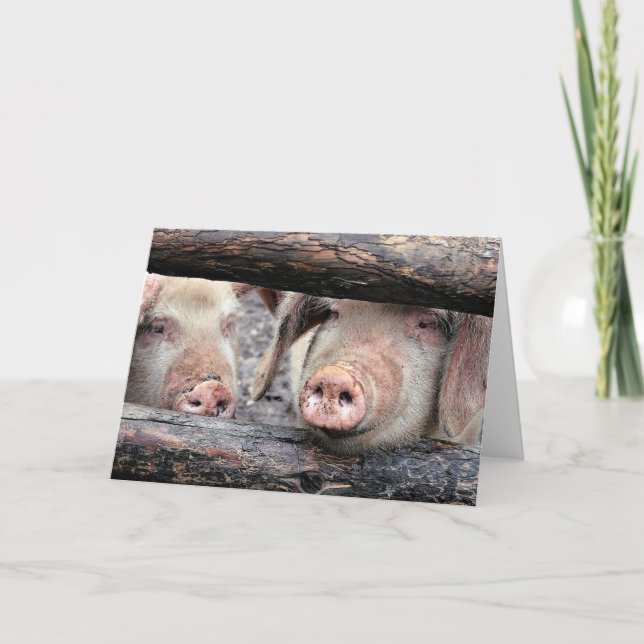 Funny Pig Carte d'anniversaire personnalisée (Devant)